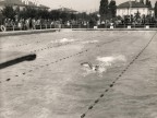 Gare di nuoto nella piscina aziendale.