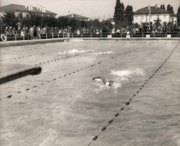 Gare di nuoto nella piscina aziendale.