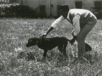 Partecipante alla gara di caccia con cane.