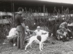 Partecipanti alla gara di caccia con cani.